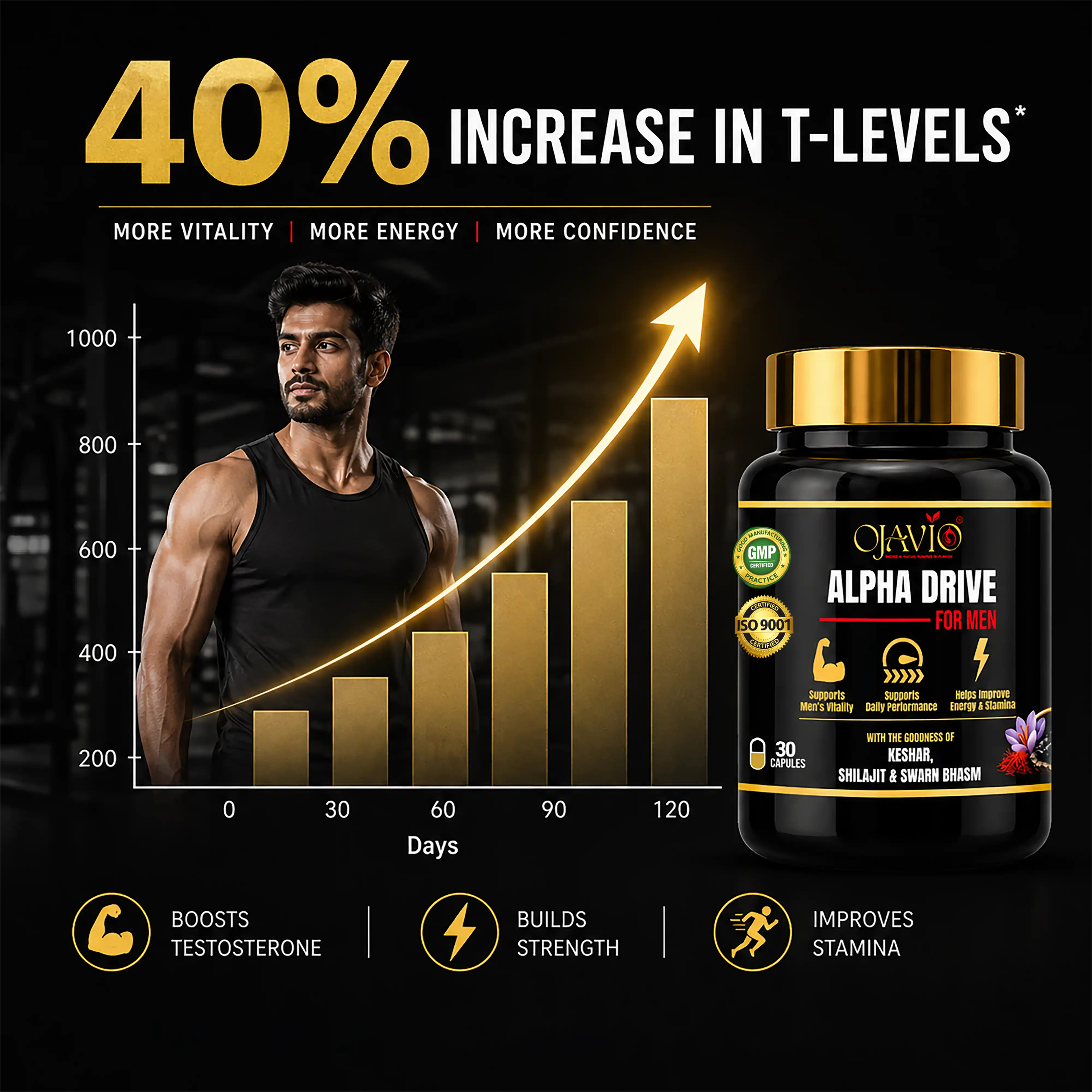 Alpha Drive: The Vitality Architect for Peak Performance