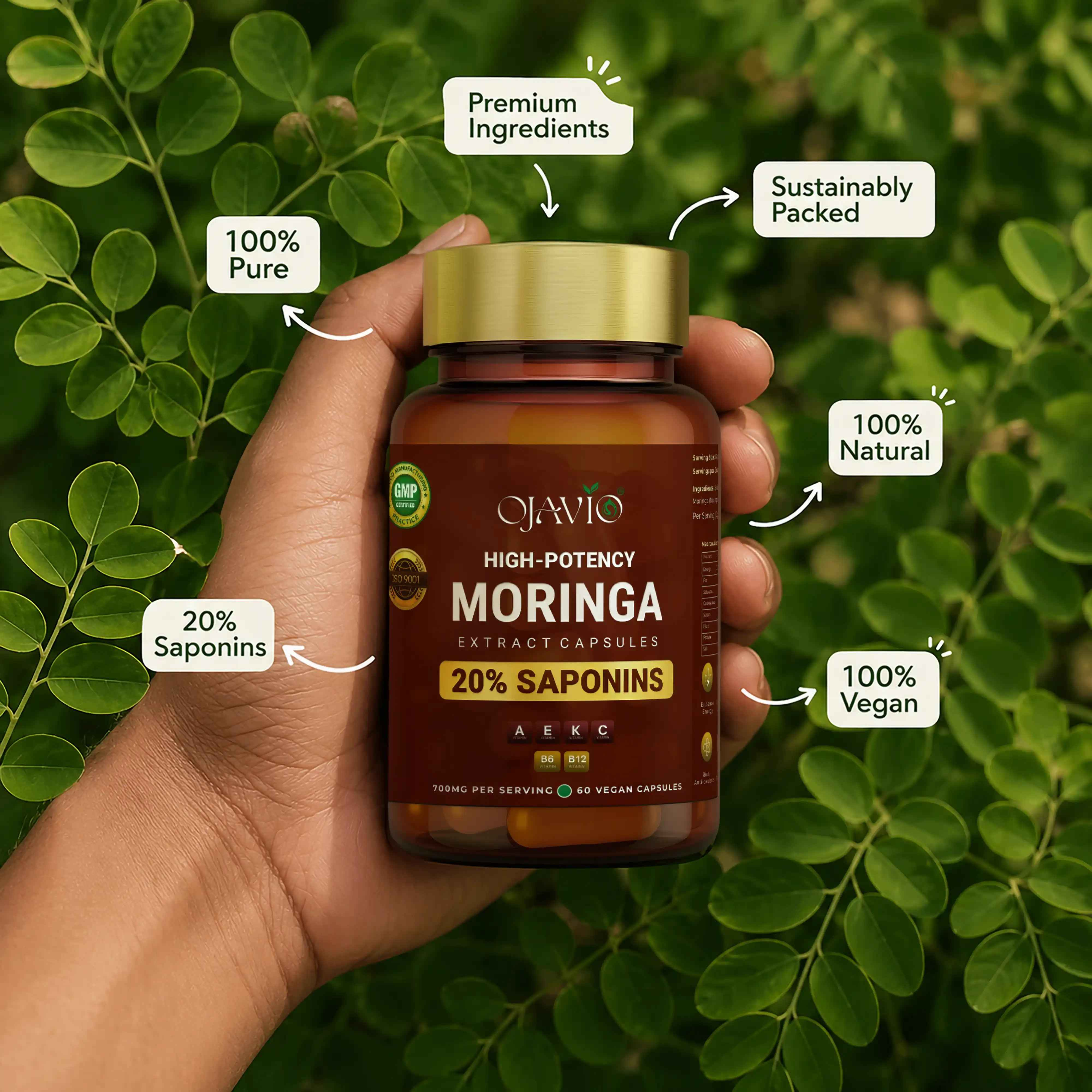 Ojavio Moringa Extract (20% Saponins) - OJAVIO ENTERPRISES