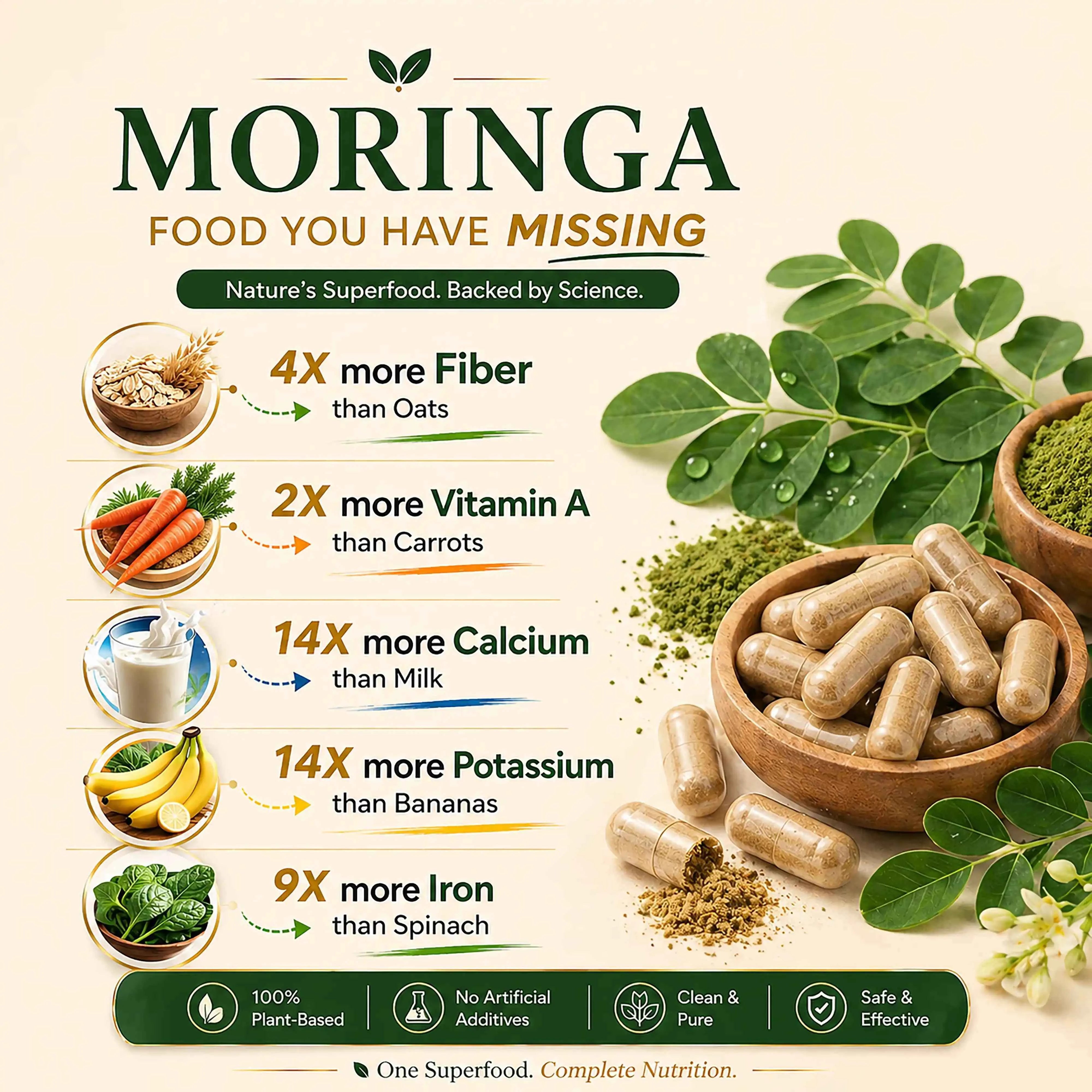 Ojavio Moringa Extract (20% Saponins) - OJAVIO ENTERPRISES