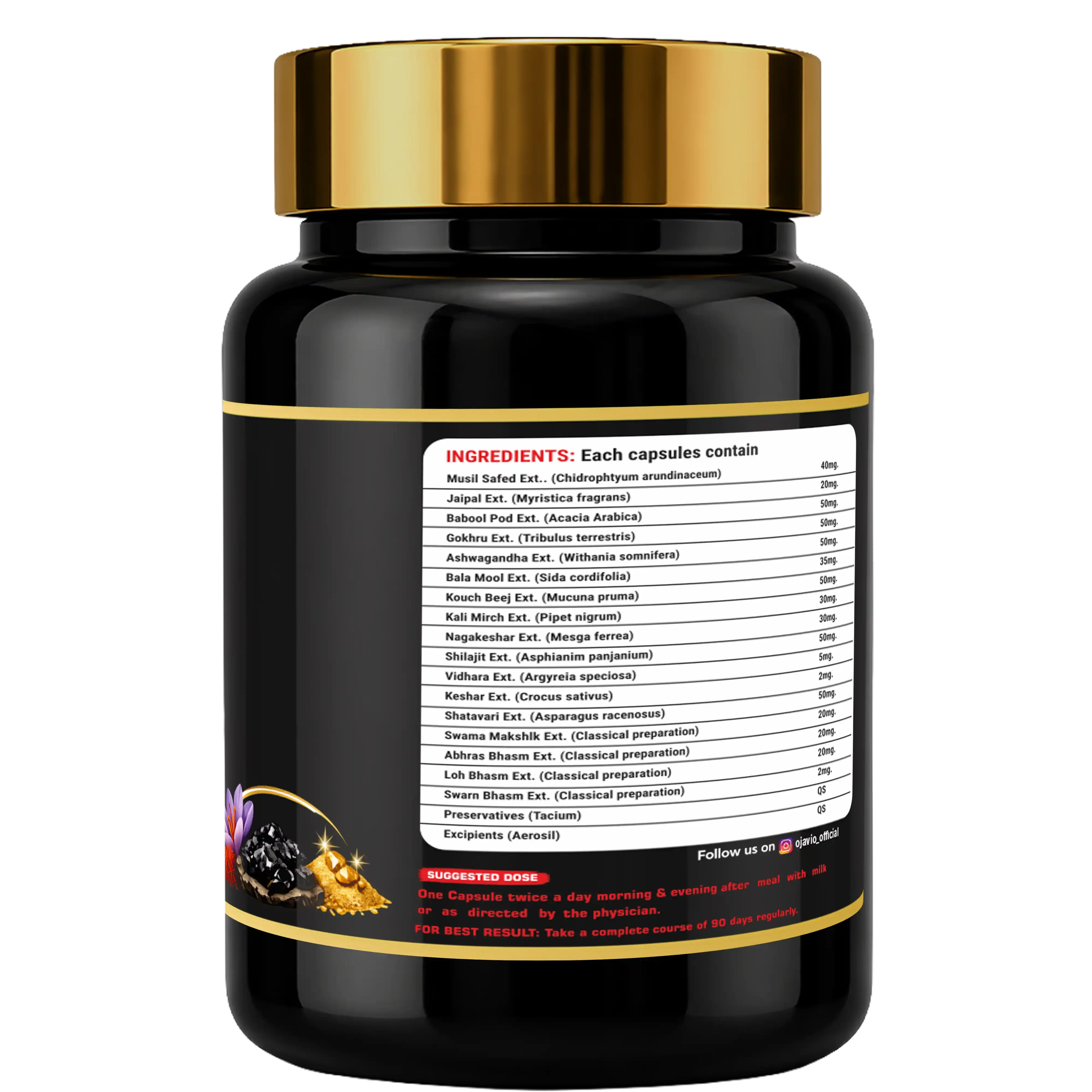 Alpha Drive: The Vitality Architect for Peak Performance