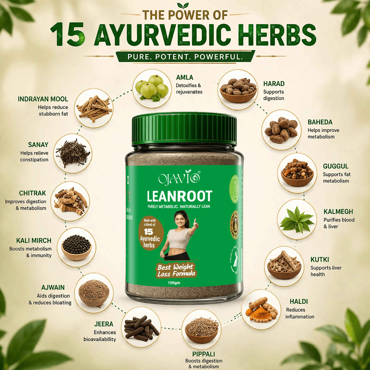 Ojavio Leanroot fat burner | Weight Management Formula - OJAVIO ENTERPRISES